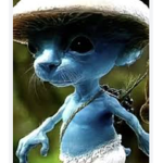 Smurfy_fan group