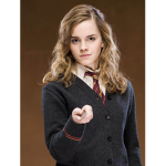 • The order of Wizard Life •