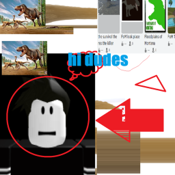 Another roblox experience
