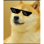 Top G Doge's