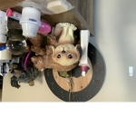 Party dogs and cat party