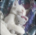 Cutie..