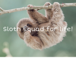 Sloth squad for life! :D