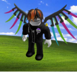 THE VOID...........