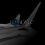 flyMelwo
