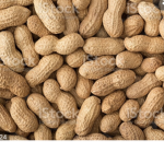 Epic Peanuts