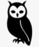 誠実さ Get'la Owls 忠誠心