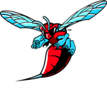 Hornets Clothing