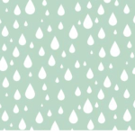 Raini Clothing