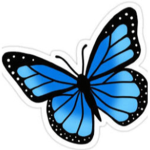 BUTTERFLY GANG!!!!