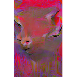 MEOWSALOT