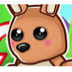 Kangaroo Club!
