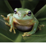 Frag/frog group/news reporters by night ;)