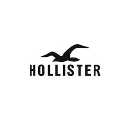 Hollister Home Store