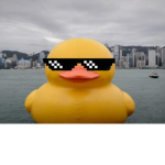 #Duckies!