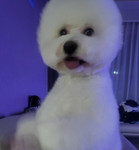 ʚ 라희네 ɞ