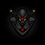 The official Ninja force