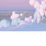 The cold world