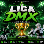 LIGA DMX