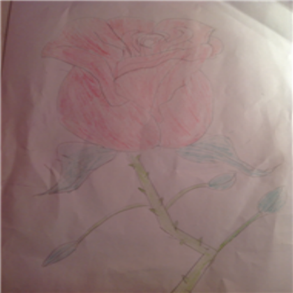 Rose drawing Roblox decal