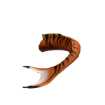 shadow