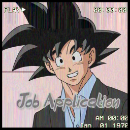 Job Application