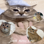 Deadbeats Productions