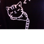 CAT DAY
