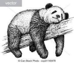 °Bear Coffe°
