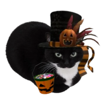 Wonderer Roblox group icon