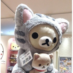 cute kawaii sanrio homestore