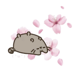 sheencatfg