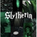 Slytherin hogwarts house
