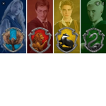 Harry potter stundent group