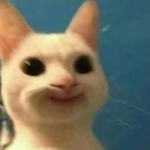 Kochamy Roblox i Gry
