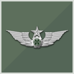People's Liberatіon Army Ground Force