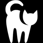 cat studios gaming