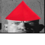 shabazzian partisans
