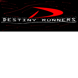 Destiny Runners