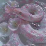 Pythons snakes