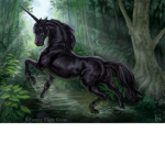 BlackStarlight Unicorns