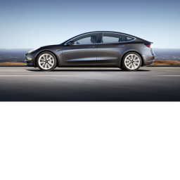 tesla party