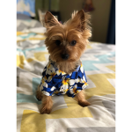 Cozy_slothsPlays