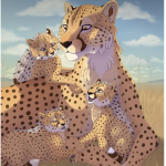 •Sunset•Cheetah•