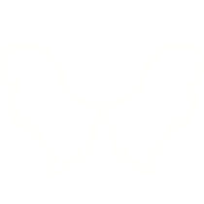 Aether Wings