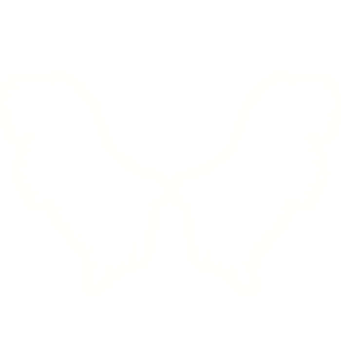 Aether Wings