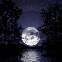 ☾ ⋆*･ﾟ