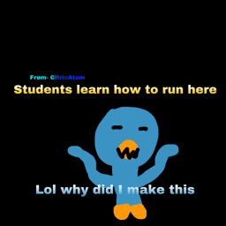 Bird run