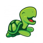 The Amazing Turtle Club