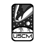 42nd Marine Mechanized Support Brigade